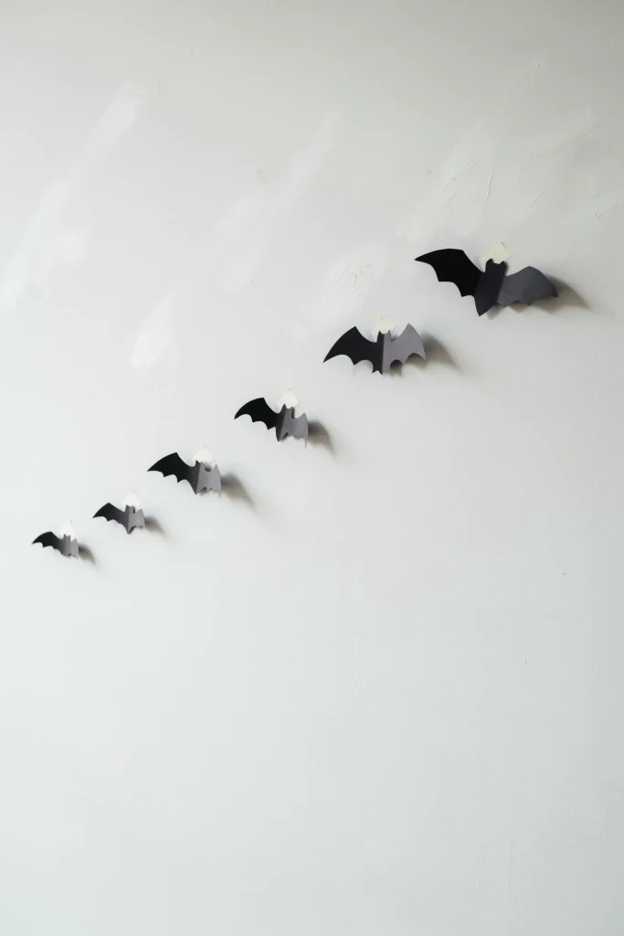 Bat Silhouette Cluster