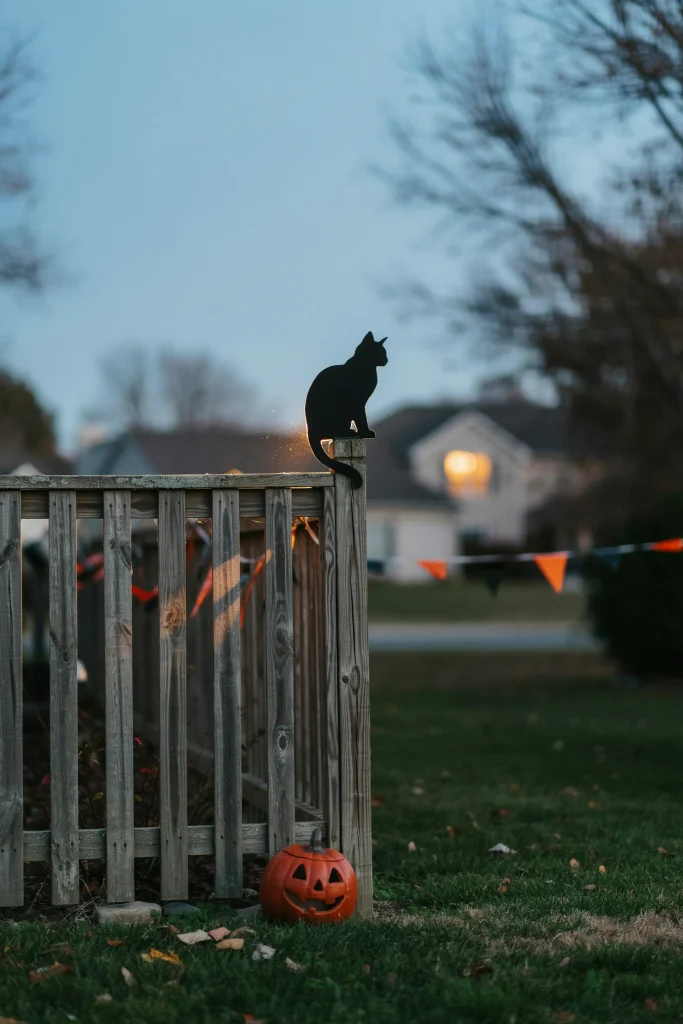 Black Cat Silhouette Perch
