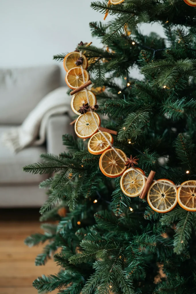 Dried Orange Slice Garland