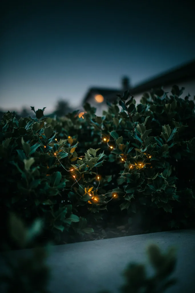 Glowing Eyes in Bushes