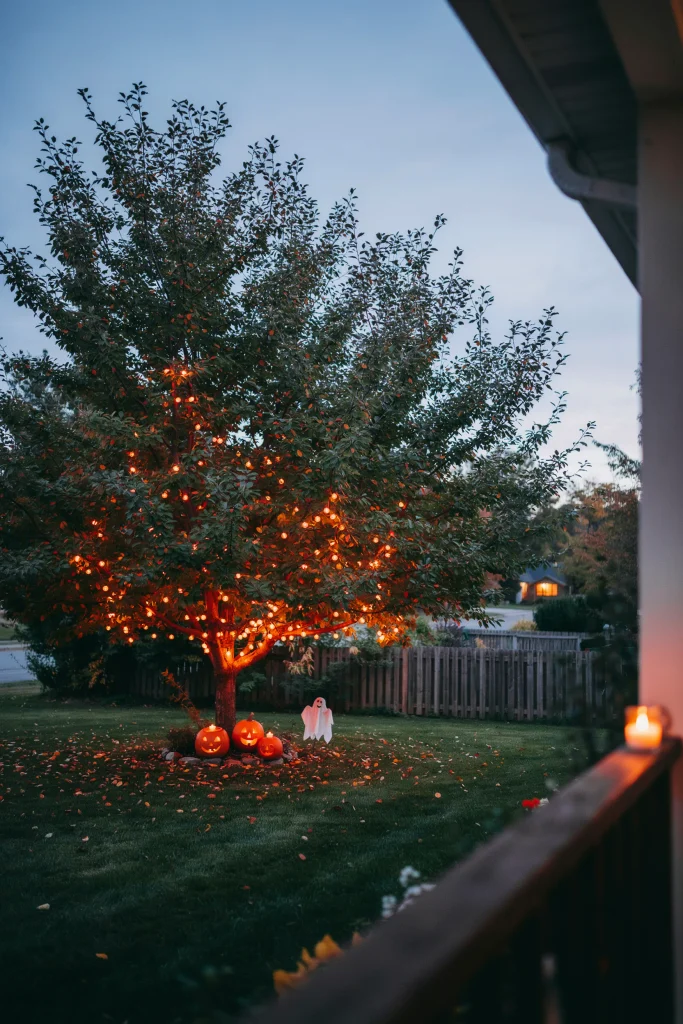 Orange String Light Canopy