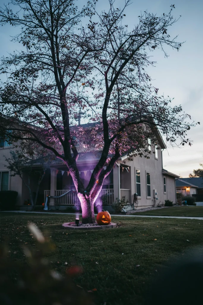 Purple Uplighting on Trees