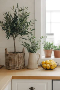  Add Greenery and Natural Elements