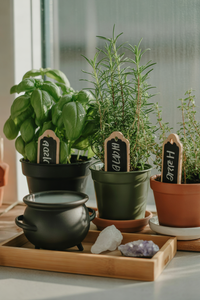 Witches Herb Garden